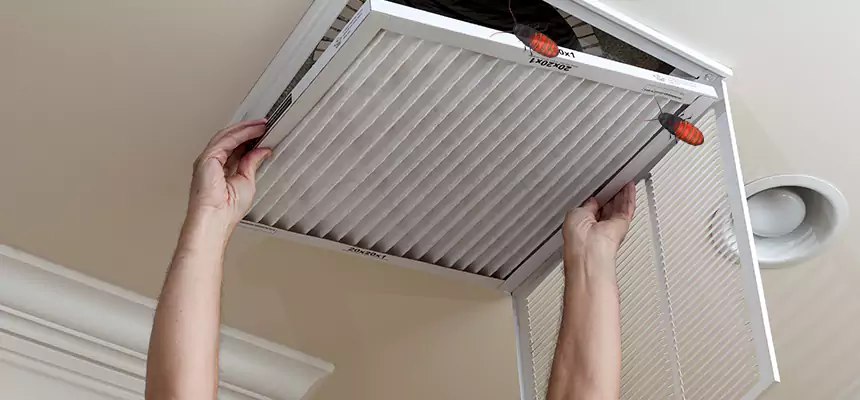 Preventive Cockroach-Proofing for Ducts in Yuma