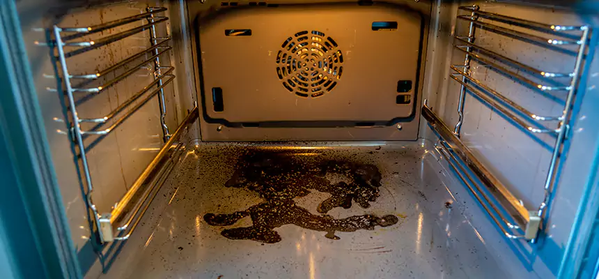 Our Dryer Vent Mold Cleaning Services in Yuma, AZ