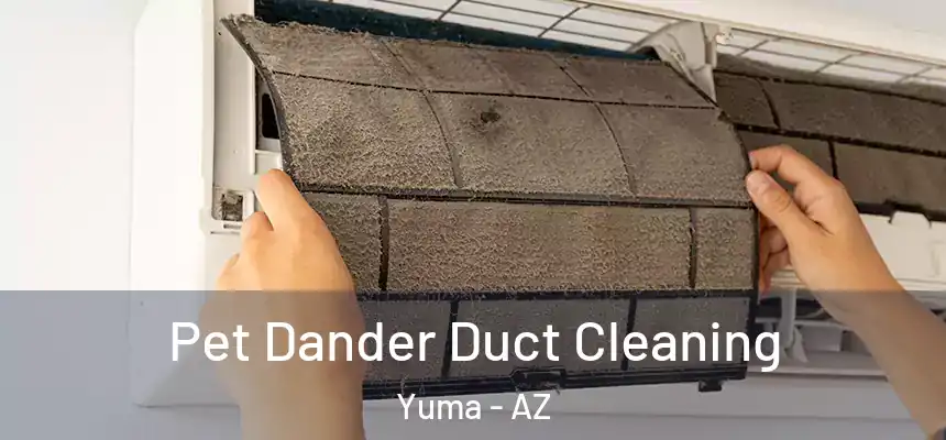  Pet Dander Duct Cleaning Yuma - AZ