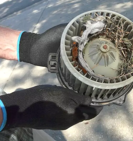 About Air Duct Rat Removal in Yuma, AZ