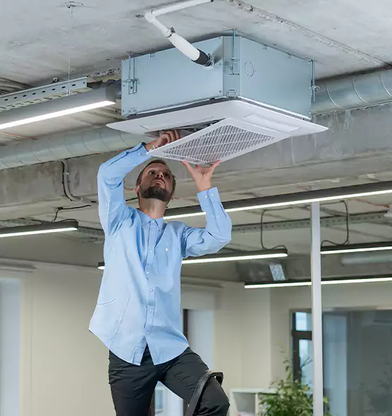 Advanced Rodent Droppings In Vents in Yuma, AZ