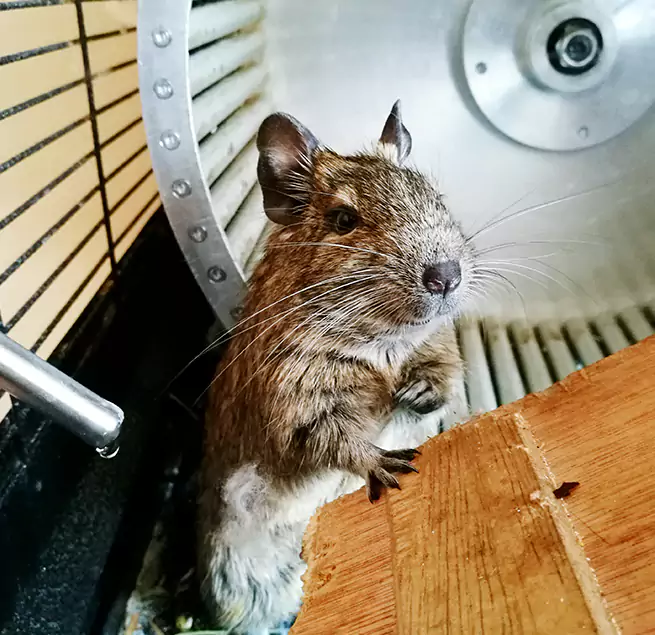 Why Homeowners & Businesses Trust Us Yuma, AZ